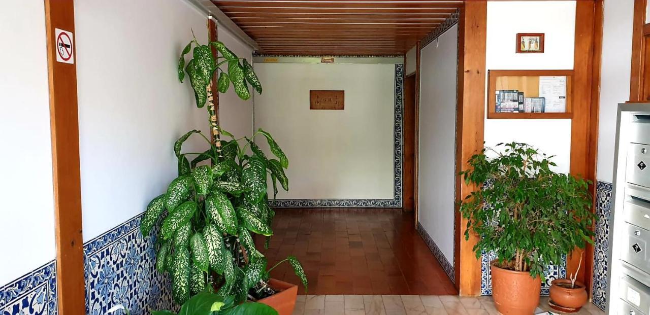 Sunny Setúbal Apartments Bagian luar foto